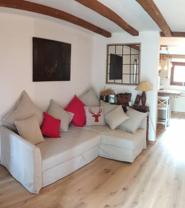 Cozy Apartment In The Heart Of The Alps Chateau-d'Oex Esterno foto