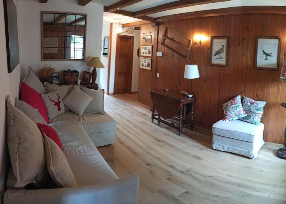 Cozy Apartment In The Heart Of The Alps Chateau-d'Oex Esterno foto