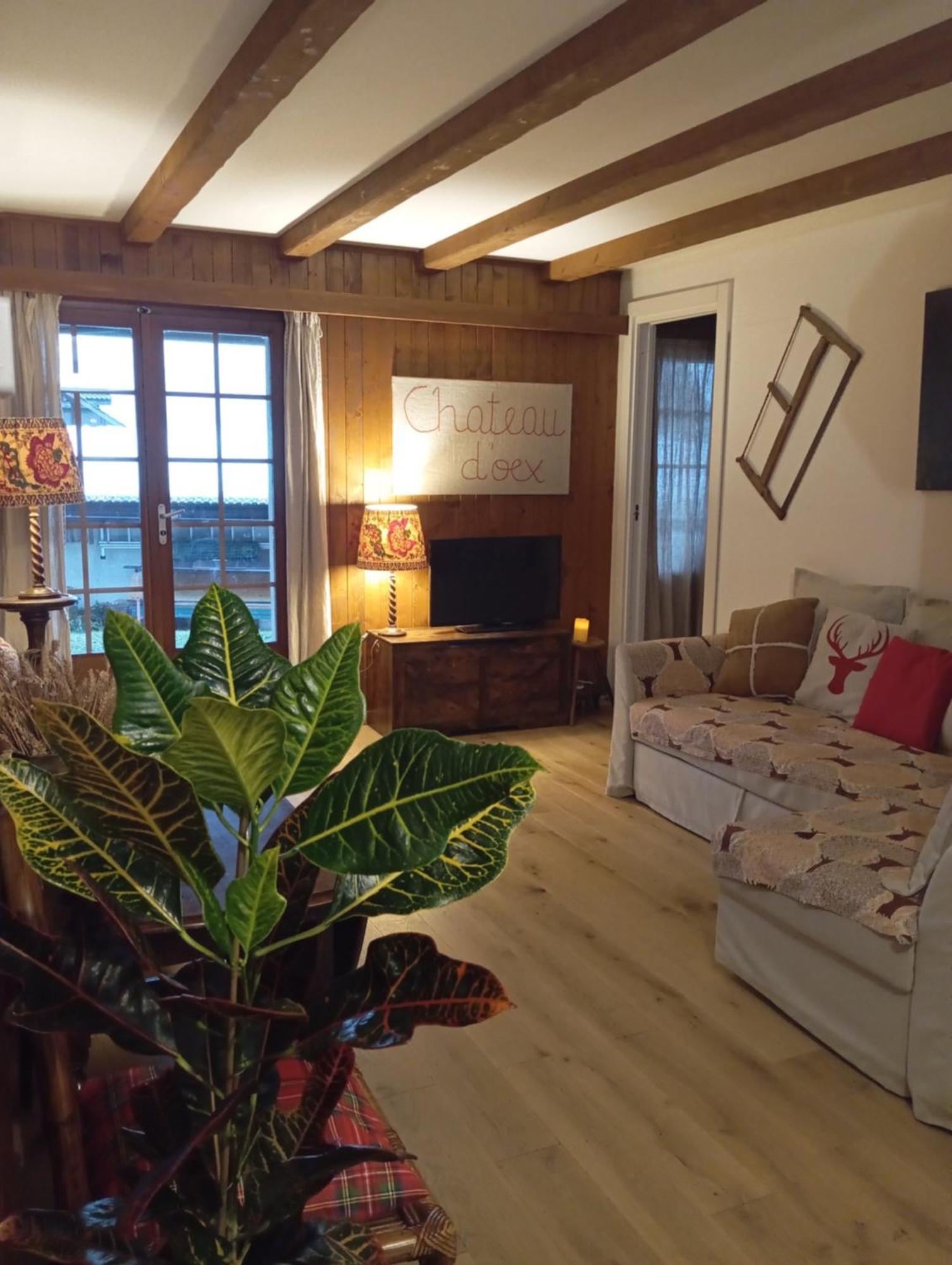 Cozy Apartment In The Heart Of The Alps Chateau-d'Oex Esterno foto